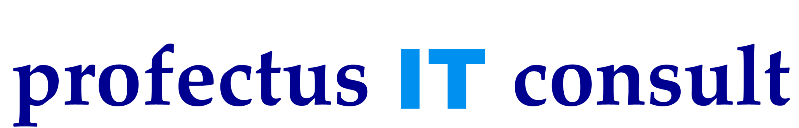 profectus IT consult